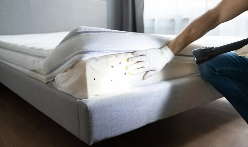 Apolimansi stromatos