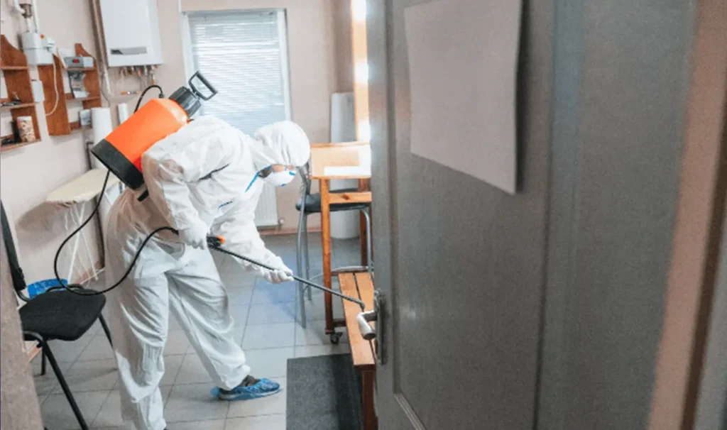 apolumansi gia kounoupia